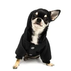 Witch Mom Hund & Katze Hoodie KILLSTAR -Magier Verkaufsladen killstar witch mom hund und katzen hoodie killstar clothing for pets gothic und alternative shop 51592 2